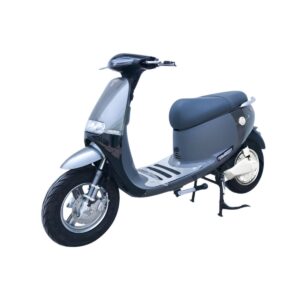 Cho Thuê Xe Máy Điện Hai Bánh Anbico Gogo SS Giá Rẻ Tại Hồ Chí Minh