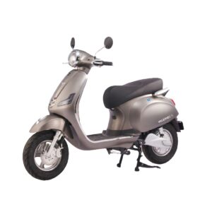 Cho Thuê Xe Máy Điện Tự Lái Anbico Valerio LS Giá Rẻ Tại Hồ Chí Minh