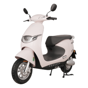 Cho Thuê Xe Máy Điện Giao Tận Nơi Tailg R53 Nhanh Chóng Tại Hồ Chí Minh