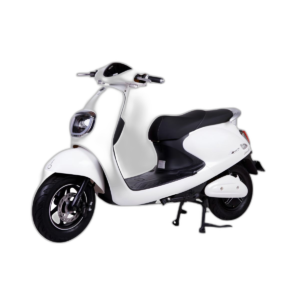 Cho Thuê Xe Máy Điện Hai Bánh Dibao Butterfly Uy Tín Tại Sài Gòn