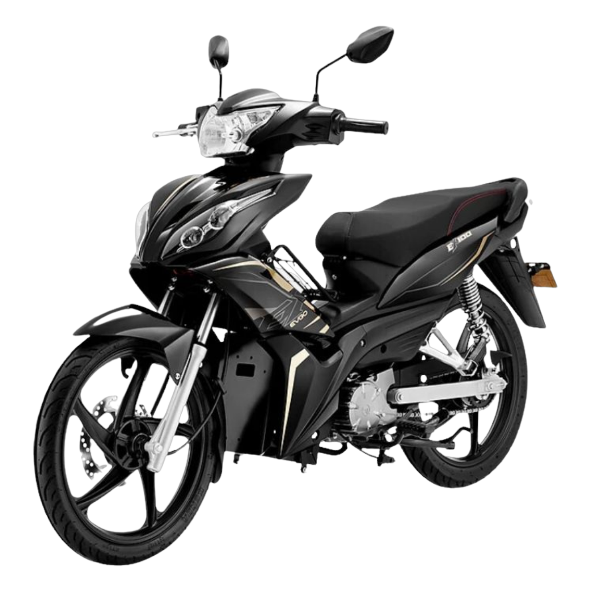 Cho Thuê Xe Máy Điện Ngắn Hạn Evgo Ex100 Giá Rẻ Tại Sài Gòn - Ảnh 3